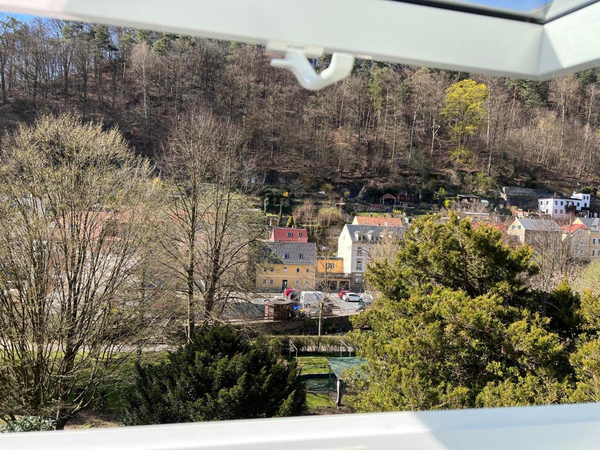 Apartments Badallee 4 Bad Schandau Exterior foto